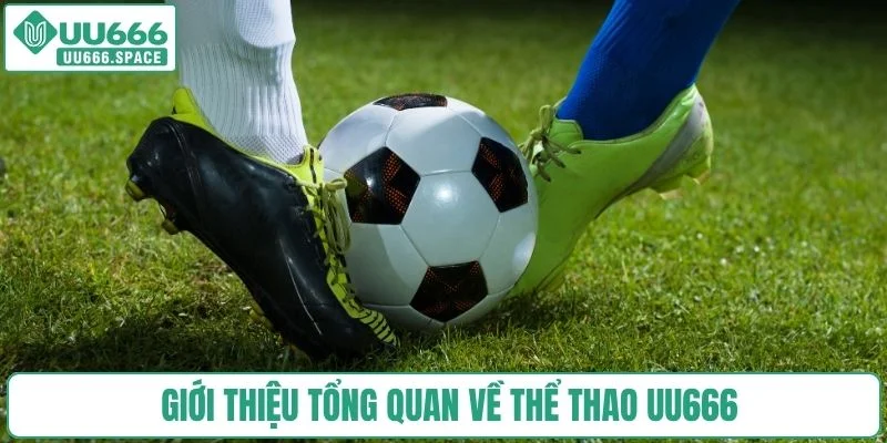 Giới thiệu tổng quan về thể thao UU666