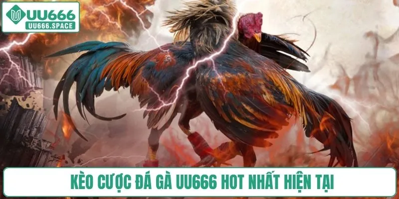 Kèo cược đá gà UU666 hot nhất hiện tại