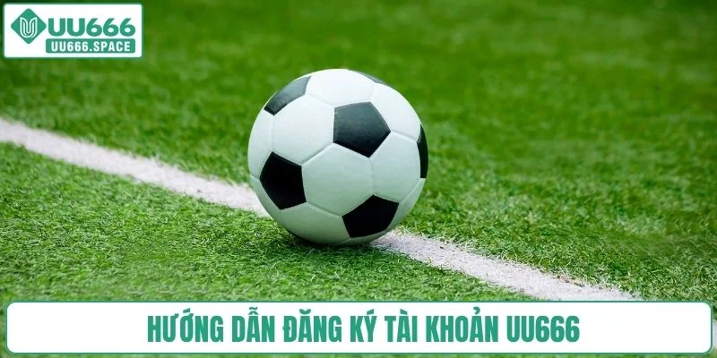 Những môn thể thao được yêu thích nhất tại UU666