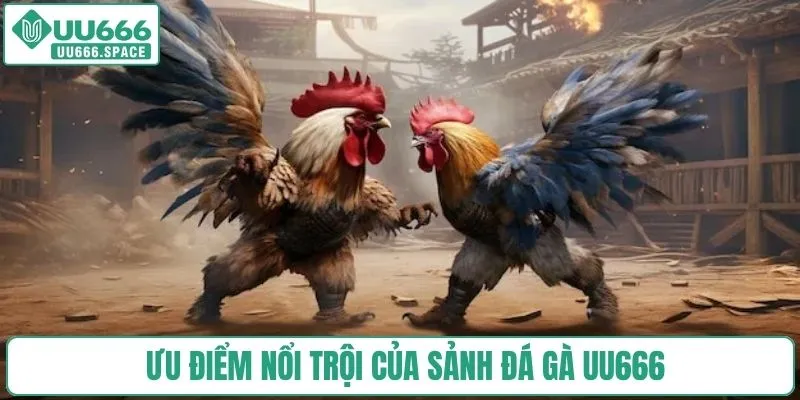 Ưu điểm nổi trội của sảnh đá gà UU666